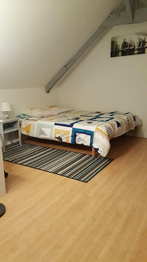 Joli Duplex Gare - Centre Ville 렌 외부 사진